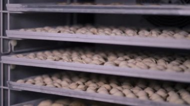 Buzdolabının kapısını yarı bitmiş yiyeceklerle kapatıyorum ve yavaş çekimde ayrılıyorum. Eldivenli beyaz kadın restoranda ya da kafede hamur köftesi pişiriyor.