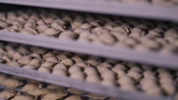 Sockelaufnahme Von Halbfertigen Ravioli Auf Kühlschrankregalen Der Industrieküche Rohe Knödel — Stockvideo