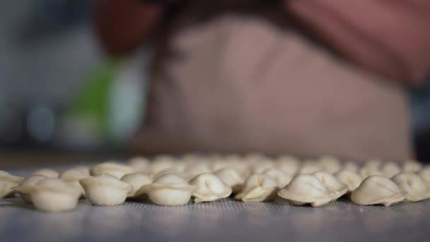 Close Raw Dumplings Tray Unrecognizable Caucasian Woman Making More Food — Stock Video