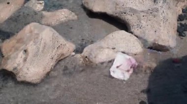 Yakın plan plastik çöpler okyanusa dökülüyor ve güneş ışığı altında dalgalar yuvarlanıyor. Güneşli bir yaz gününde çevresel kirlilik kapanıyor.