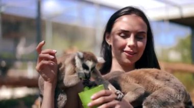 Kıbrıs 'ta hayvanat bahçesinde gülümseyen lemurları besleyen neşeli genç bir kadının yakın plan portresi. Güzel, ince, beyaz bir turist güneşli bir yaz gününde hayvanlarla eğleniyor.