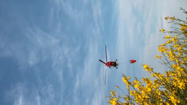 西班牙马德里 2023年5月16日 垂直视频红色消防直升机飞越草地 黄色花朵进入日落的阳光补充水 近距离切割机灭火 — 图库视频影像
