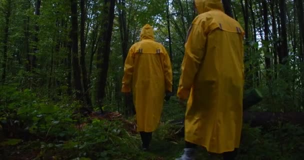 Zpětný Pohled Turisté Žlutých Pláštích Procházky Deštném Pralese Večerních Hodinách — Stock video