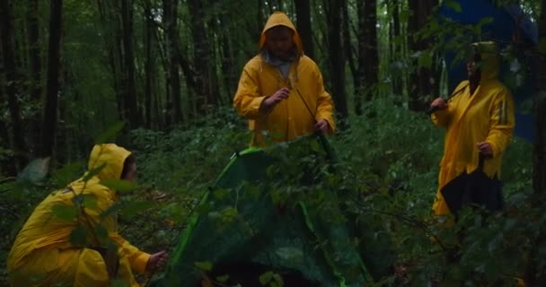 Kaukasische Junge Männer Und Frauen Die Abends Ihr Zelt Wald — Stockvideo