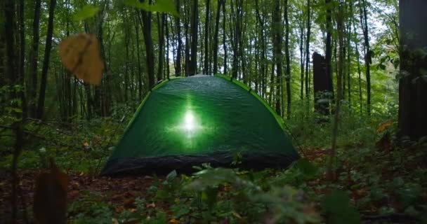 Ormanda Içinde Feneri Olan Yeşil Bir Çadır Yağmurlu Bir Gecede — Stok video