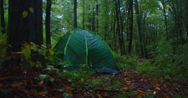 Két Bizonytalan Fiatal Sátrat Nyit Esős Erdőben Beszélgetnek Rémült Fehér — Stock videók
