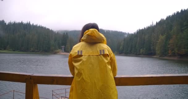 Eine Frau Bewundert Den Synevyr See Den Karpaten Einem Bewölkten — Stockvideo