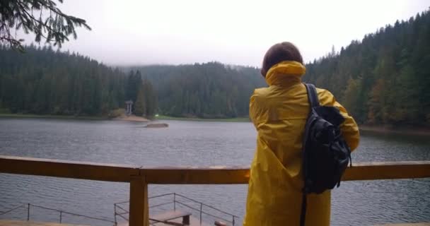 カルパチア山脈の右の賞賛の湖Synevyrに立ってバックパックに置くブルネットの若い女性のバックパックの肖像画を表示します 屋外で曇りの日に自信を持ってハイカー シネマ4K Prores — ストック動画