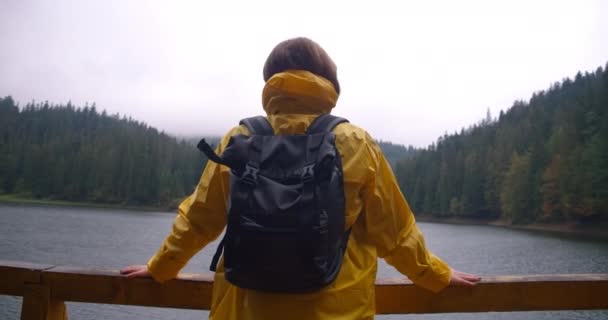 Vista Posterior Mochilero Femenino Apoyado Valla Madera Lago Synevyr Mirando — Vídeo de stock