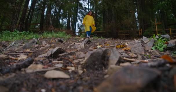 在喀尔巴阡山下山坡的针叶林中 身穿黄色雨衣的白人年轻女子被射中 自信的徒步旅行者在户外散步 然后离开 Cinema Prores — 图库视频影像