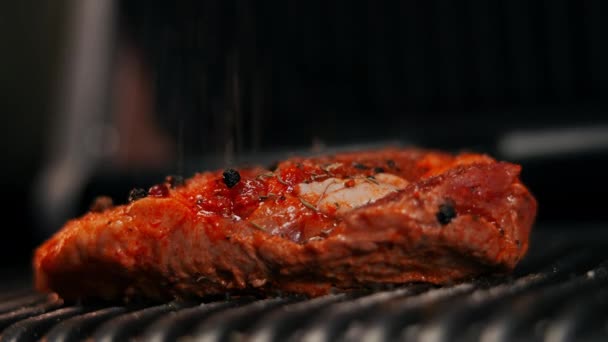 Primer Plano Especias Secas Cayendo Pedazo Deliciosa Carne Parrilla Barbacoa — Vídeos de Stock
