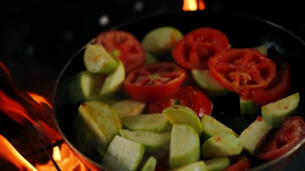 프라이팬에 기름을 바베큐그릴에 야채를 곁들인 천천히 야외에서 Bbq 맛있는 피크닉 — 비디오