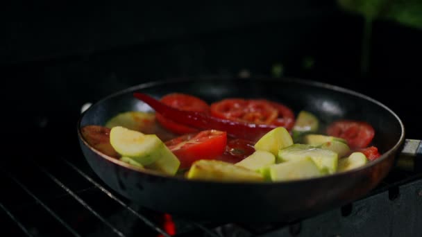 Викидати Горючий Сірник Сковороді Овочами Відкритому Повітрі Приготуйте Смачну Вечерю — стокове відео