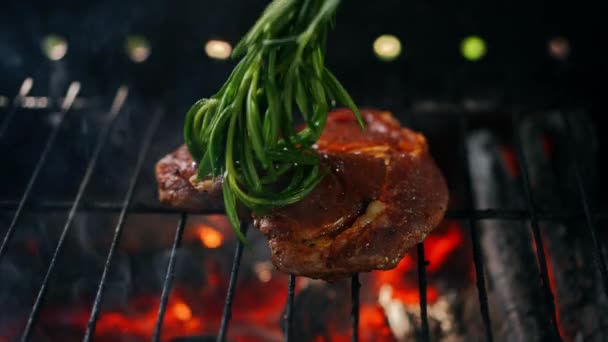 用植物油在烧烤架上煎肉排 户外烧烤时 小吃一顿美味的野餐午餐 — 图库视频影像