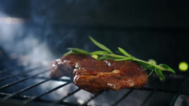 Close Carne Suculenta Com Ramo Verde Topo Grelhando Churrasco Noite — Vídeo de Stock