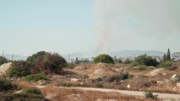 夏日的春天里 从户外的火堆中喷出了浓烟 塞浦路斯的干旱地貌 — 图库视频影像