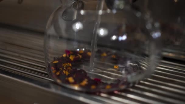 Zbliżenie Zalewanie Gorącej Wody Czajniku Suszoną Herbatą Zbliżenie Podejmowania Aromatyczny — Wideo stockowe