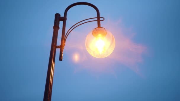 夕暮れ時の青空を背景にクローズアップ街路灯 夕暮れ時に屋外の都市のポール上の閉鎖照明電球 — ストック動画