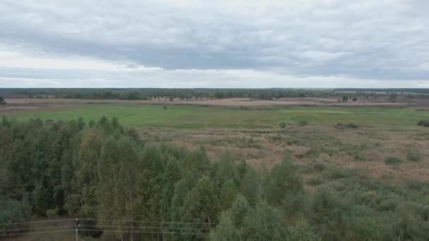 曇りの夏の日に屋外で絵のように緑のウクライナの風景を撮影した 田舎のない人々と穏やかな牧草地の空中ビューを撮影傾き — ストック動画