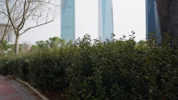Fila Arbustos Verdes Callejón Fondo Rascacielos Vidrio Urbano Plantas Que — Vídeo de stock