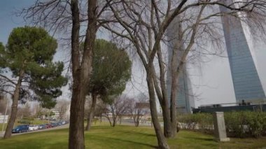 Arka planda bulanık gökdelenler olan şehir caddesinde geniş yeşil çimenler. Sabahları sakin bir şehir.