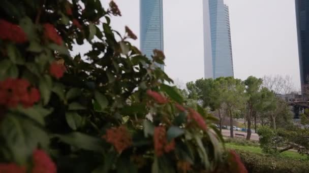 Stedelijke Wolkenkrabbers Straat Met Wazig Groene Struik Met Rode Bloemen — Stockvideo