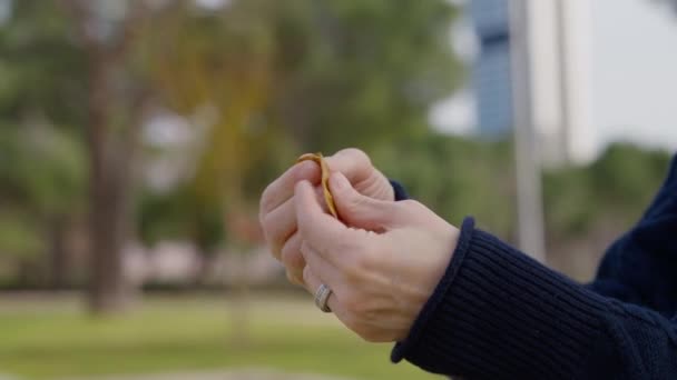 Жіночі Руки Ламають Жовтий Лист Відкритому Повітрі Крупним Планом Вид — стокове відео