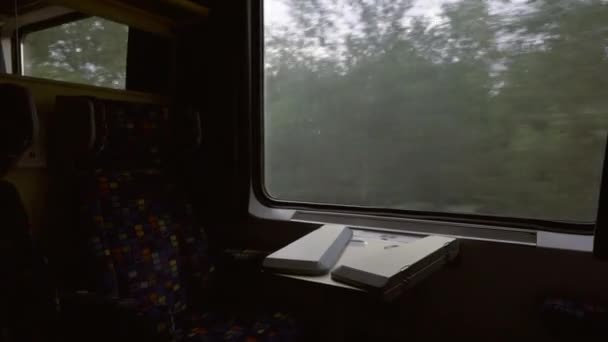Groene Bomen Passeren Treinraam Als Vervoer Rijden Buiten Uitzicht Van — Stockvideo