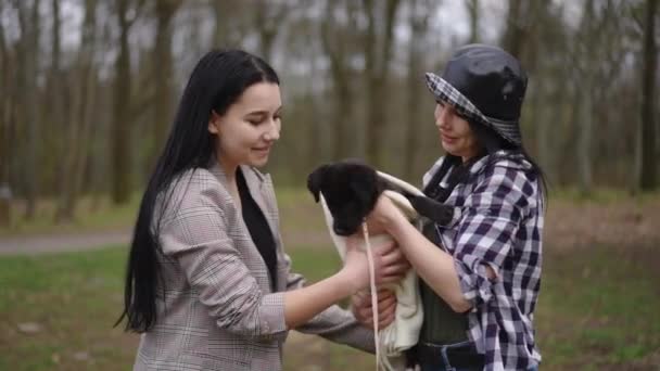 Medium Shot Portret Van Een Glimlachende Blanke Vrouw Die Puppy — Stockvideo