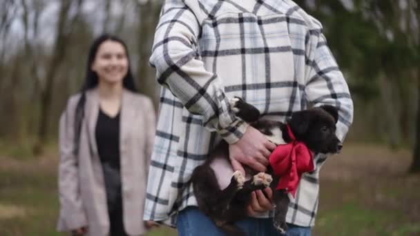 Vista Posterior Irreconocible Hombre Sosteniendo Cachorro Con Lazo Cinta Roja — Vídeo de stock