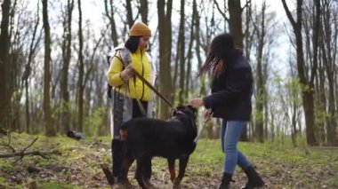 Geniş açılı iki genç kadın köpekle birlikte orman hayvanlarını sopayla eğitiyor. Güzel beyaz arkadaşlar sabah hayvanlarla eğleniyorlar.