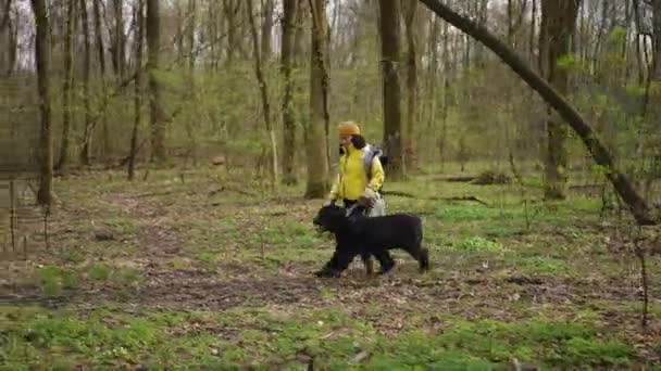 サイドビューの広いショット若い女性と犬は 前面にカメラを渡る木と一緒に走っている森の中を歩いています 朝の外出を楽しんでいるコーカサス人女性と動物の追跡ショット — ストック動画