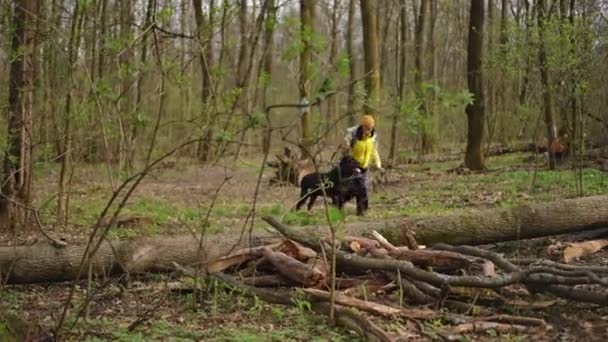 Широкий Выстрел Уверенные Женщина Собака Бегущие Лесу Прыгая Через Ствол — стоковое видео