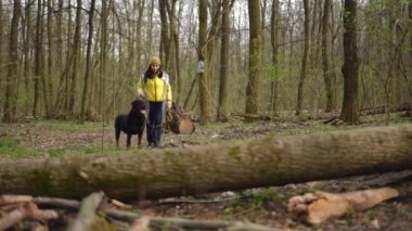 Ormanda soldan sağa koşan kendinden emin kadın ve köpek ağaç gövdesinin üzerinden atlıyor. Kafkasyalı sporcu bayan ve evcil hayvan eğitimi sabah