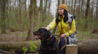 Tasmalı gevşek köpek, arka planda ağaç kamyonunda oturan bulanık bir kadınla etrafı kolaçan ediyor. Tasasız hayvan portresi ve ormandaki beyaz kadın.