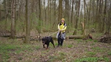 Ormanda yürüyen meraklı köpek tasmalı genç beyaz kadını çekiyor. Aktif safkan evcil hayvan portresi. Kadın turistle gezmenin tadını çıkarıyor.