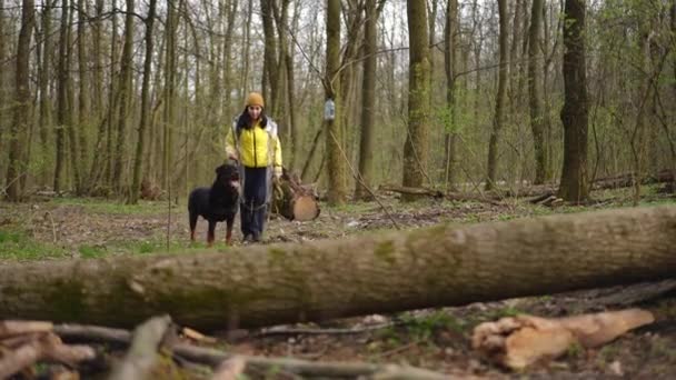 Впевнена Жінка Собака Бігають Зліва Направо Лісі Стрибають Через Стовбур — стокове відео