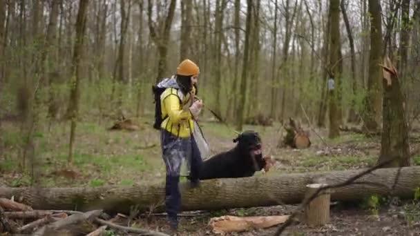 Biała Pewna Siebie Młoda Kobieta Dużym Czarnym Psem Spacerującym Lesie — Wideo stockowe