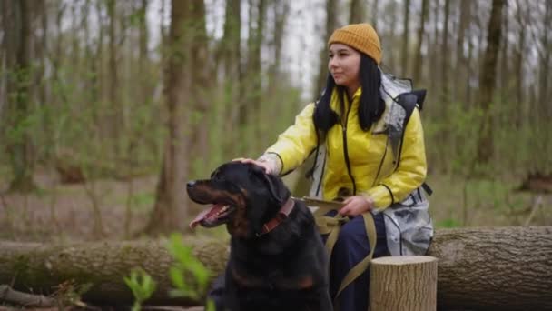 Tasmalı Gevşek Köpek Arka Planda Ağaç Kamyonunda Oturan Bulanık Bir — Stok video