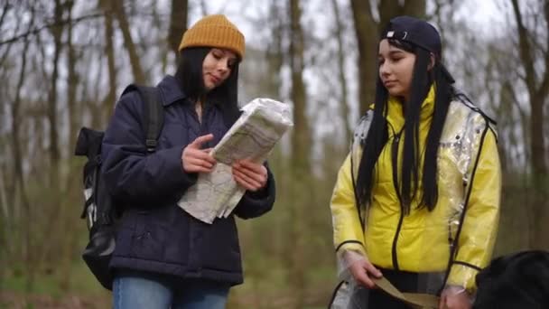 Jóvenes Mujeres Hermosas Discutiendo Ruta Viaje Pie Con Perro Bosque — Vídeo de stock