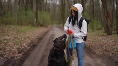 Genç beyaz kadın susamış köpeğe su veriyor, içecek olarak. Ormanda evcil hayvanla gezen kadın turist portresi.