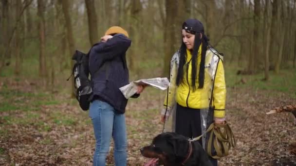 Красиві Молоді Жінки Сперечаються Про Вибір Напрямку Екотуризму Лісі Портрет — стокове відео