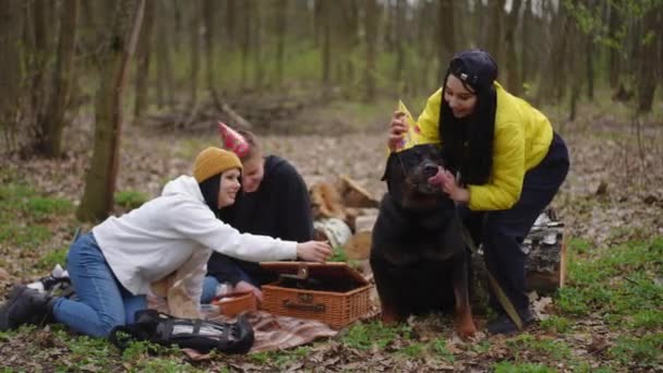 ワイドショット陽気な若い友人たちは 森のピクニックで犬の誕生日を祝いました 笑顔のコーカサス人男性と女性は 毛布の上に座っているペットにパーティー帽子をかける — ストック動画