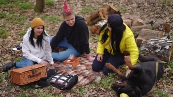 高角镜宽镜头快乐的女人爱抚着小狗的肚子躺在野餐时 朋友们坐在毛毯上 无忧无虑的白种人在森林里与宠物共享闲暇 — 图库视频影像