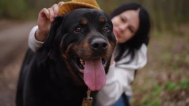 Kapalı büyük siyah köpek, dili bulanık gülümseyen bir kadın gibi hayvan kafasına sarı şapka takıyor. Forest Park 'ta beyaz kadın sahibiyle tasasız, rahat bir evcil hayvan portresi.