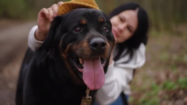 Großaufnahme Großer Schwarzer Hund Mit Herausgestreckter Zunge Als Verschwommene Lächelnde — Stockvideo