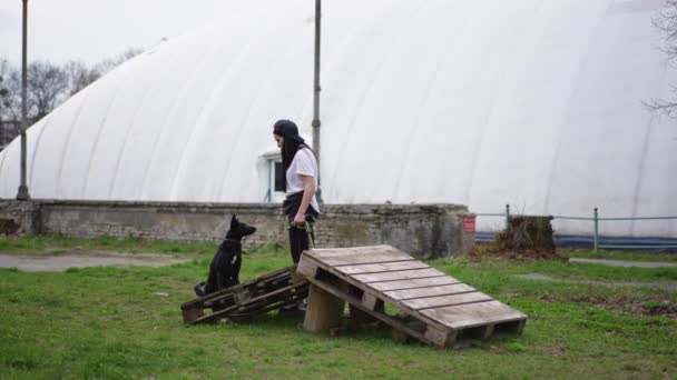 Широкий Выстрел Молодая Женщина Тренирует Черный Подходит Собака Открытом Воздухе — стоковое видео