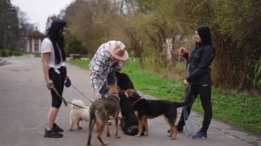 Geniş açılı mutlu genç adam ve kameralı kadınlar ve tasmalı köpekler dışarıda. Pozitif yakışıklı beyaz arkadaşlar evcil hayvanlarla gezmenin keyfini çıkarıyorlar.