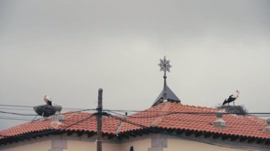 Bulutlu bir sabahta, kırmızı çatının her iki tarafındaki yuvalarda leylekler. İspanya 'nın kırsal kesiminde güneşin doğuşunda çatıda duran sakin kuşlar