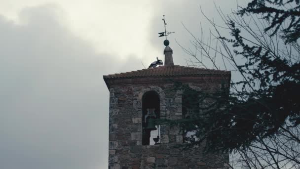 바람이 넘치는 아침에 지붕의 타일에 교회의 옥상에 흰색과 — 비디오